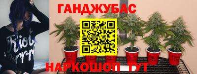 прущие крисы Гагарин