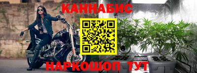 прущие крисы Гагарин