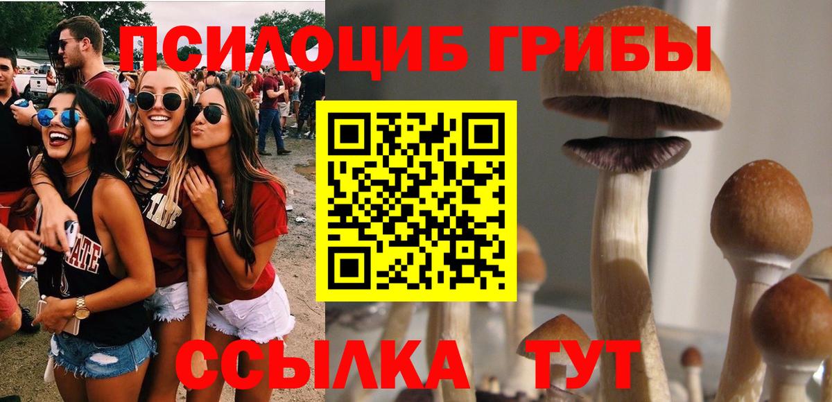 Псилоцибиновые грибы MAGIC MUSHROOMS  купить   Заинск  Вход с VPN 